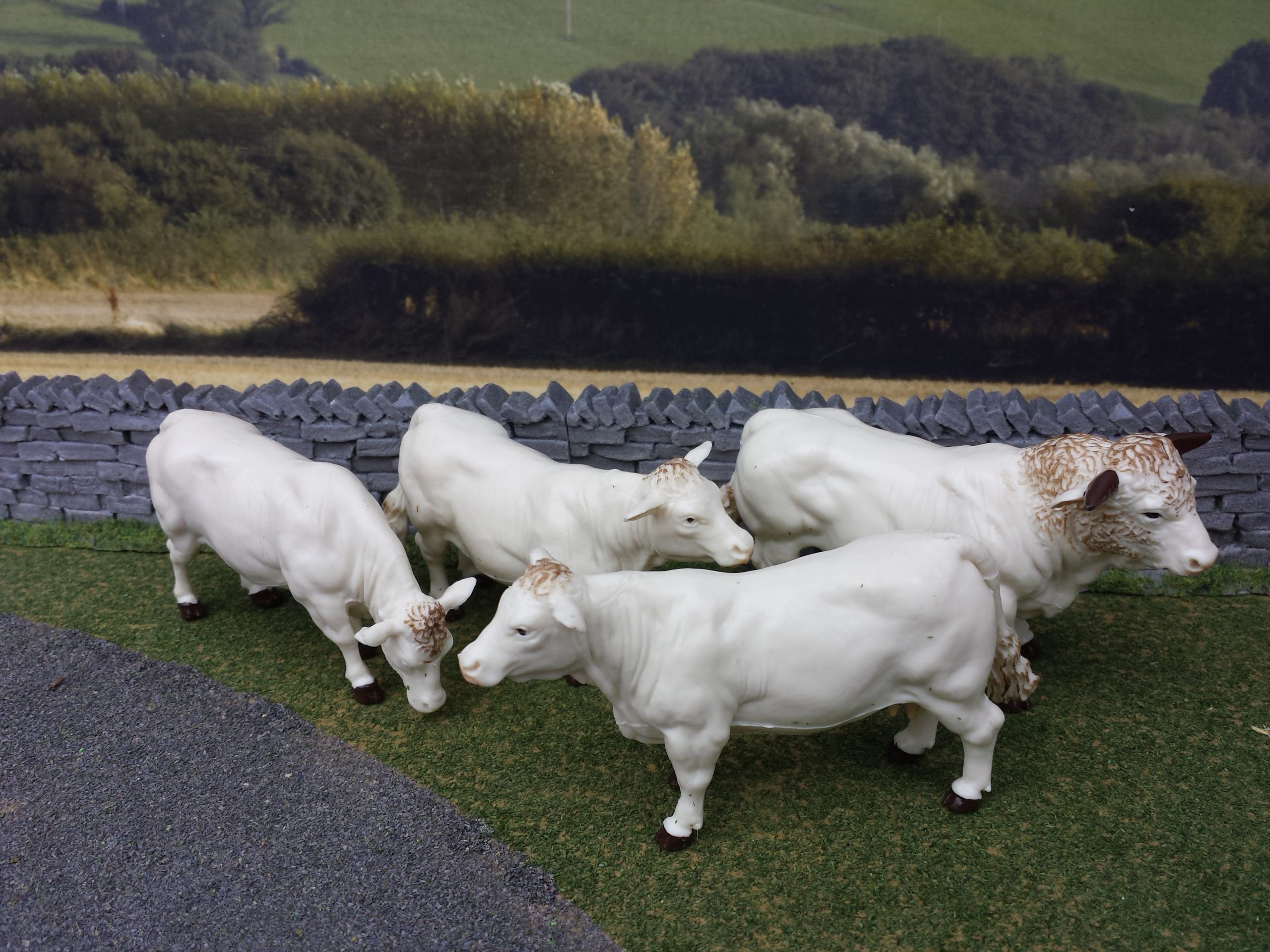 Animals