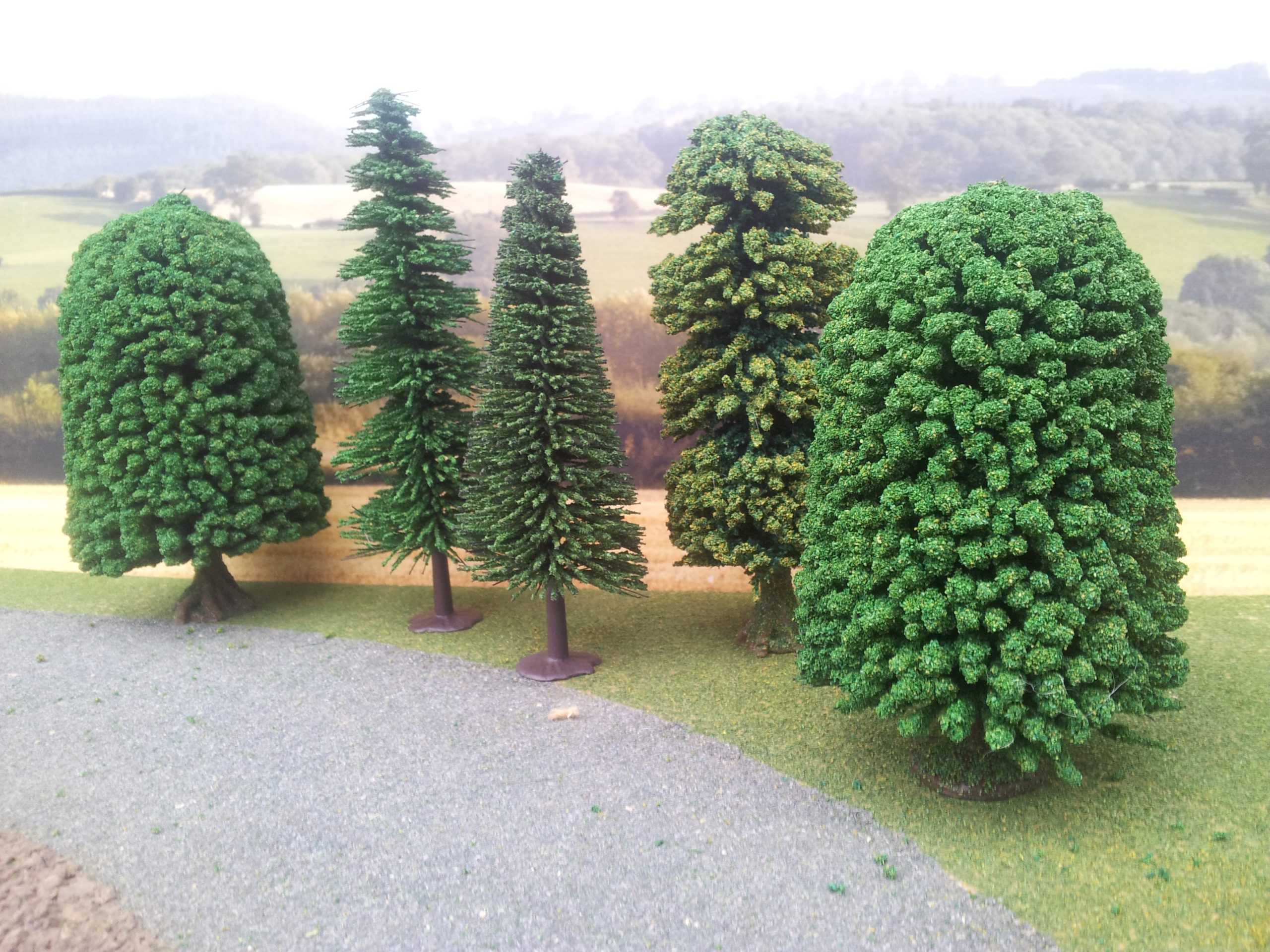 Brushwood
